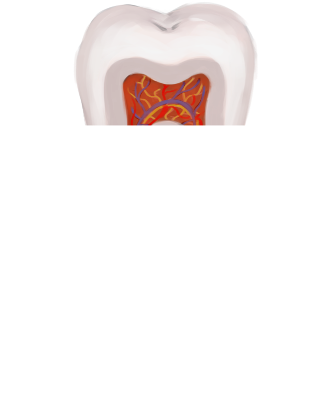Zahnkrone