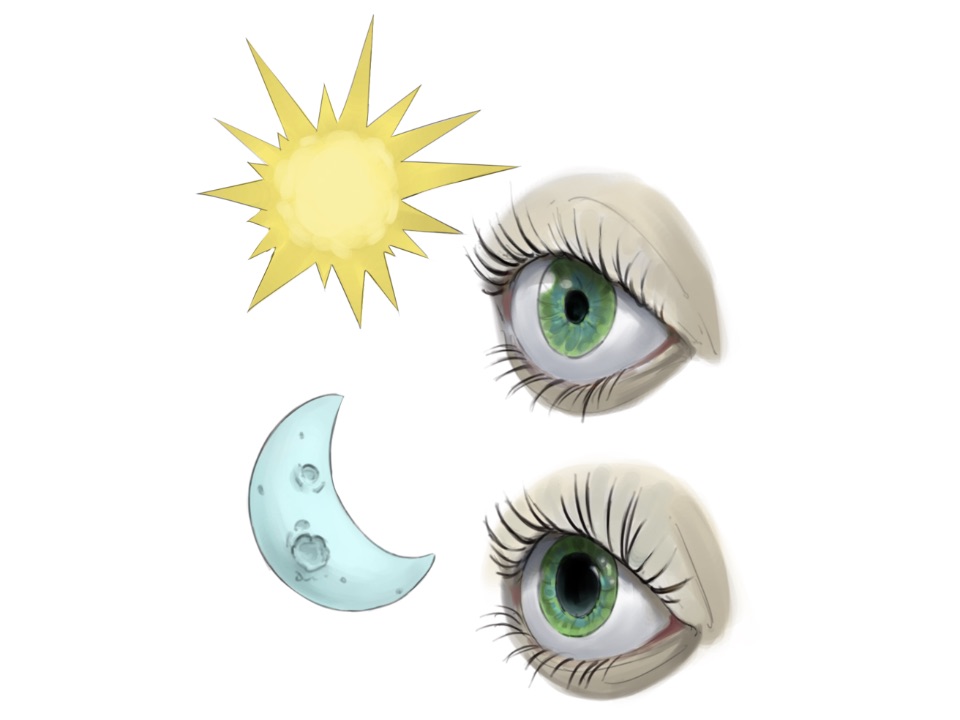 Illustration vom Pupillenreflex. Schaut das Auge direkt in die Sonne oder ist es sehr hell, verkleinert sich die Pupille. Ist es dunkel erweitert sie sich.