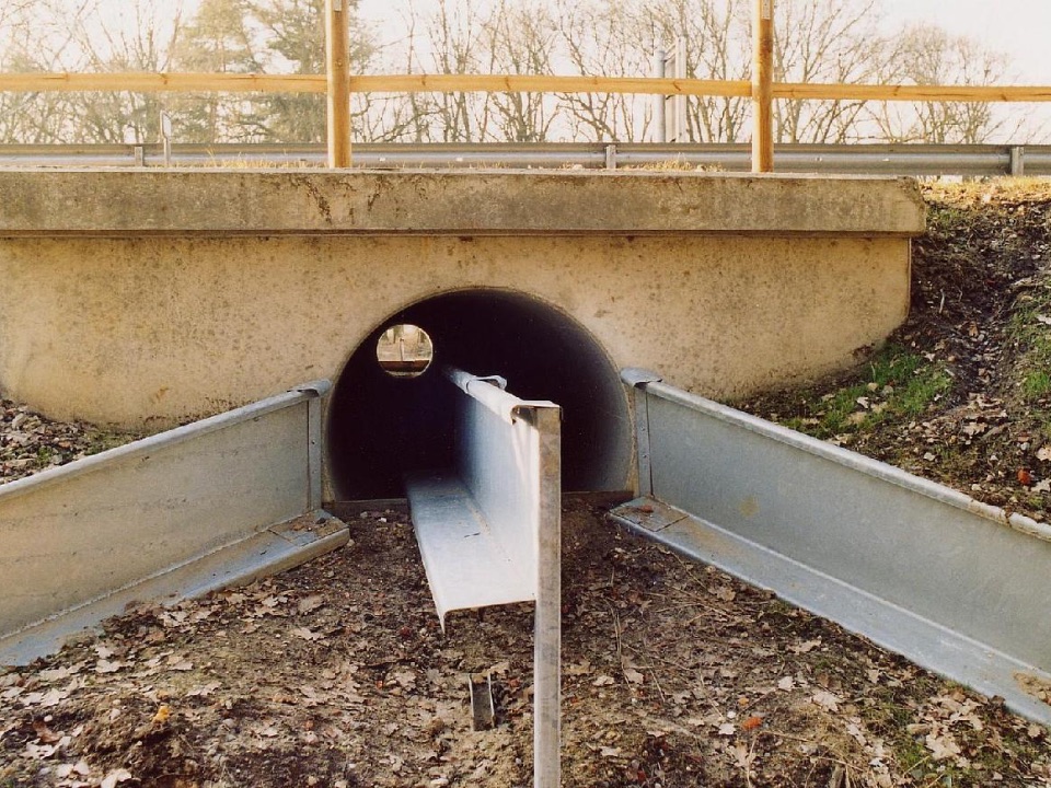 Amphibientunnel, der unter einer Straße durchführt.
