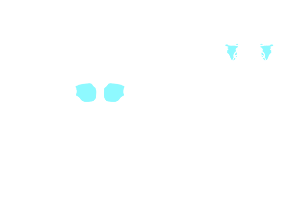 Schulterblätter