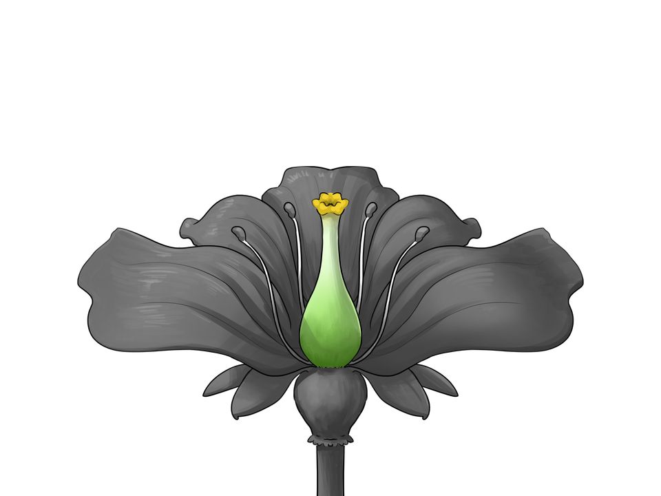 Stempel