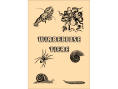 Popup: Wirbellosen Tiere zum Nachschlagen