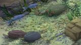 Biodiversität in Gewässern