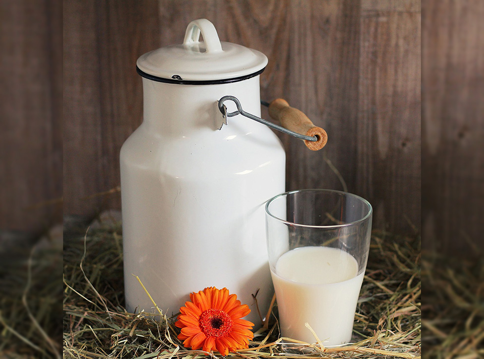 Eine Milchkanne mit einem halbvollen Glas Milch, stehend auf Heu.
