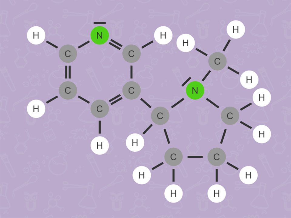 Struktur von Nikotin