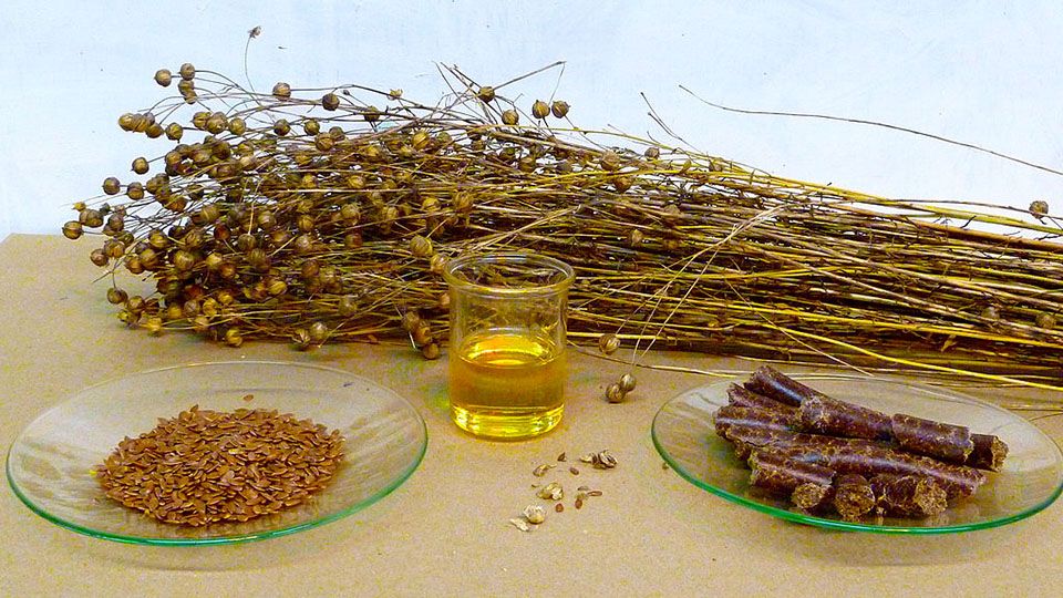 flax, desses körner und daraus resultierende Öl auf einem Tisch