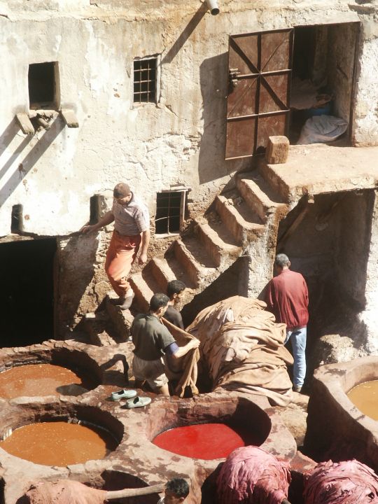 Eine Färberei in Fes (Marokko)