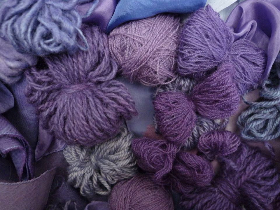 Wolle in Purpurküpe gefärbt