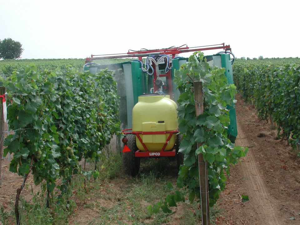 Tunnelspritzgerät in einem Weingarten bei der Ausbringung eines Pflanzenschutzmittels (Pestizids).