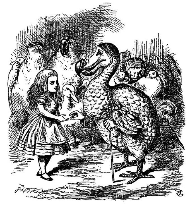 Alice steht inmitten einer Gruppe „komischer Vögel“.