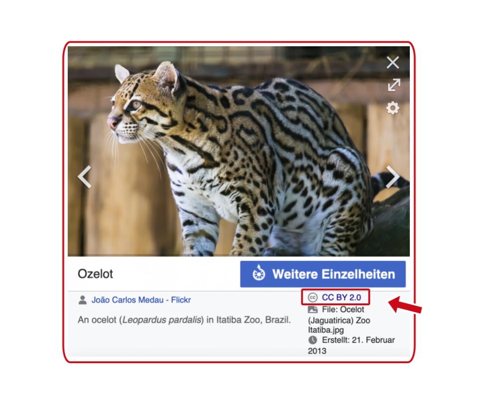 Eine Abbildung einer Creative Commons Lizenz zu einem Bild im Internet.