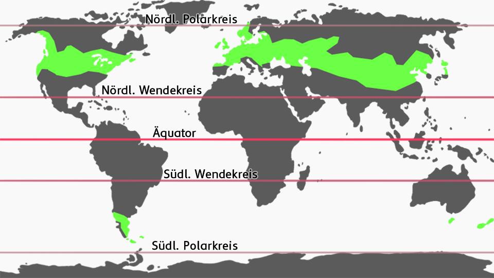 Eine Weltkarte mit neongrün eingefärbten Bereichen in der gemäßigten Zone und dem Äquator, südlichen und nördlichen Wendekreis als auch den zwei Polarkreisen.