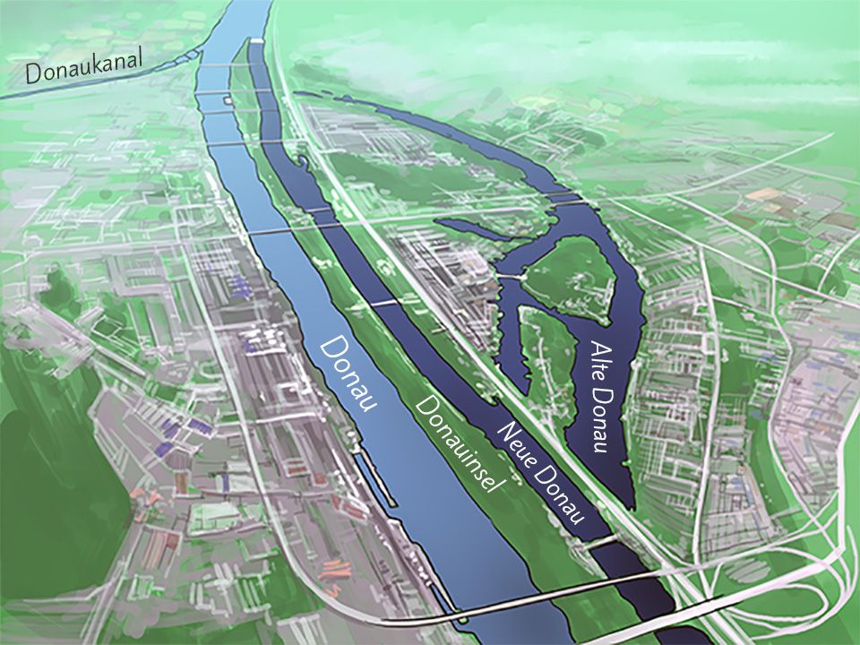 Ein Zeichnung der Donau bei Wien mit Alter Donau, Neuer Donau und der Donauinsel
