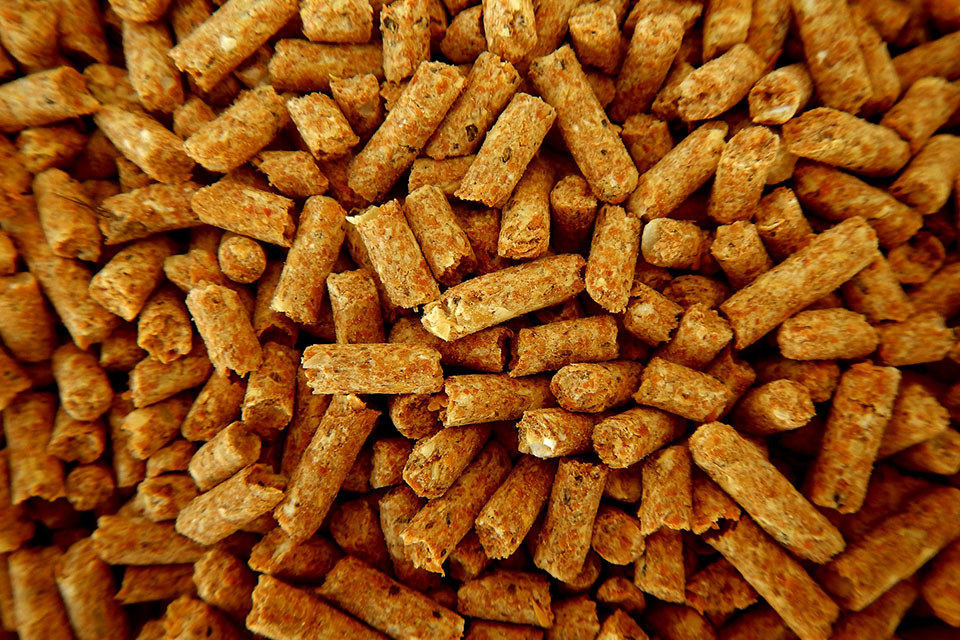 Holzpellets