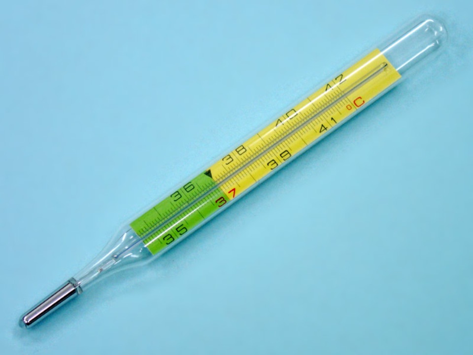 Ein Fieberthermometer aus Glas auf grünem Hintergrund
