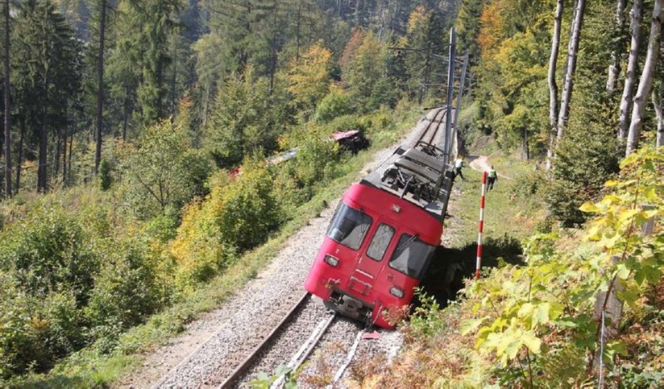 Ein Zug, der von den Schienen abgekommen ist. Runderhum ist Wald