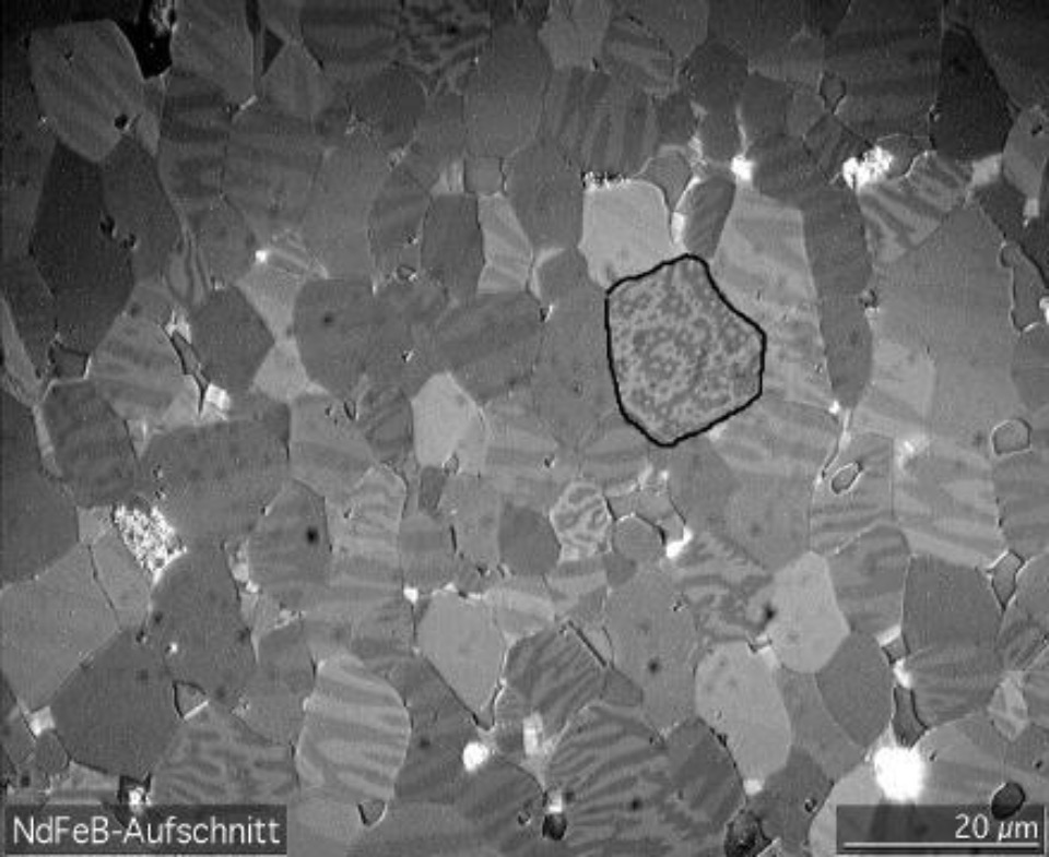 Neodymmagnet im Mikroskop